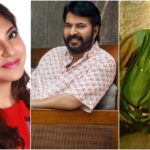 Padma-Awards-2026-Dharmendra-Mammootty-Alka-Yagnik.jpg