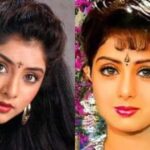 Sridevi-Divya-bharti-9-2026-04-99f109060b509e8bbefca2c805709c2f-1200x630.jpg