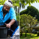 Mohanlal-organic-farming-drishyam-1.jpg